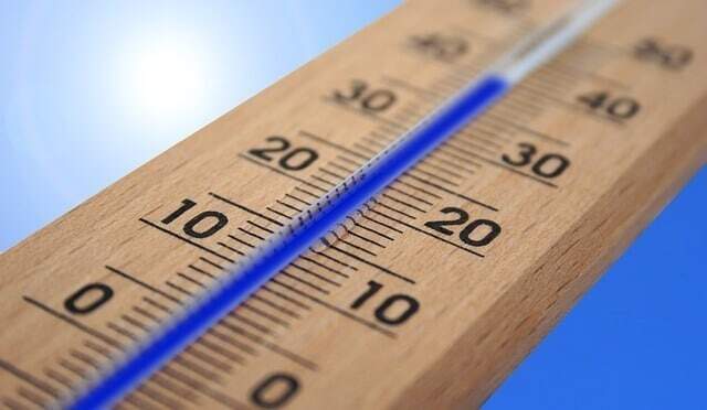 dough thermometer Online bakery course