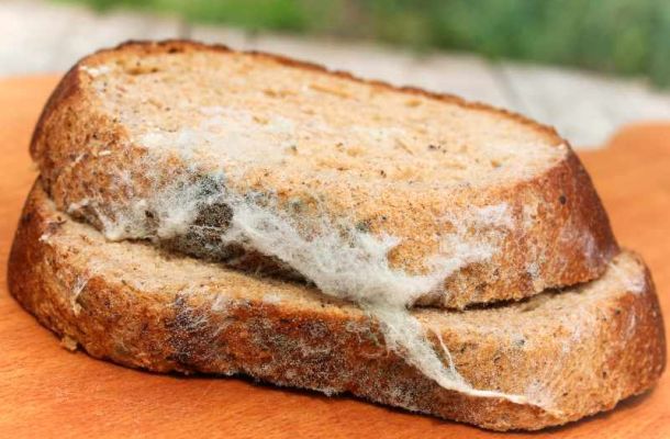 How to tell if bread is spoiled
