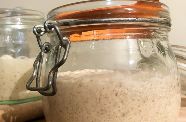 When is the best time to use a sourdough starter?