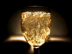 can I use champagne yeast for bread