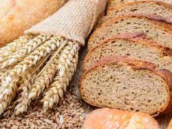 Is A Bakery Business Profitable?