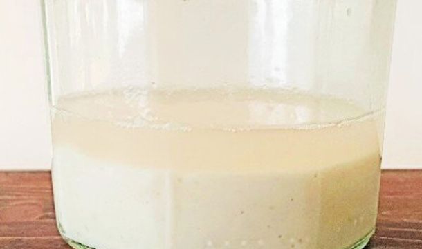 What is hooch in sourdough starter?