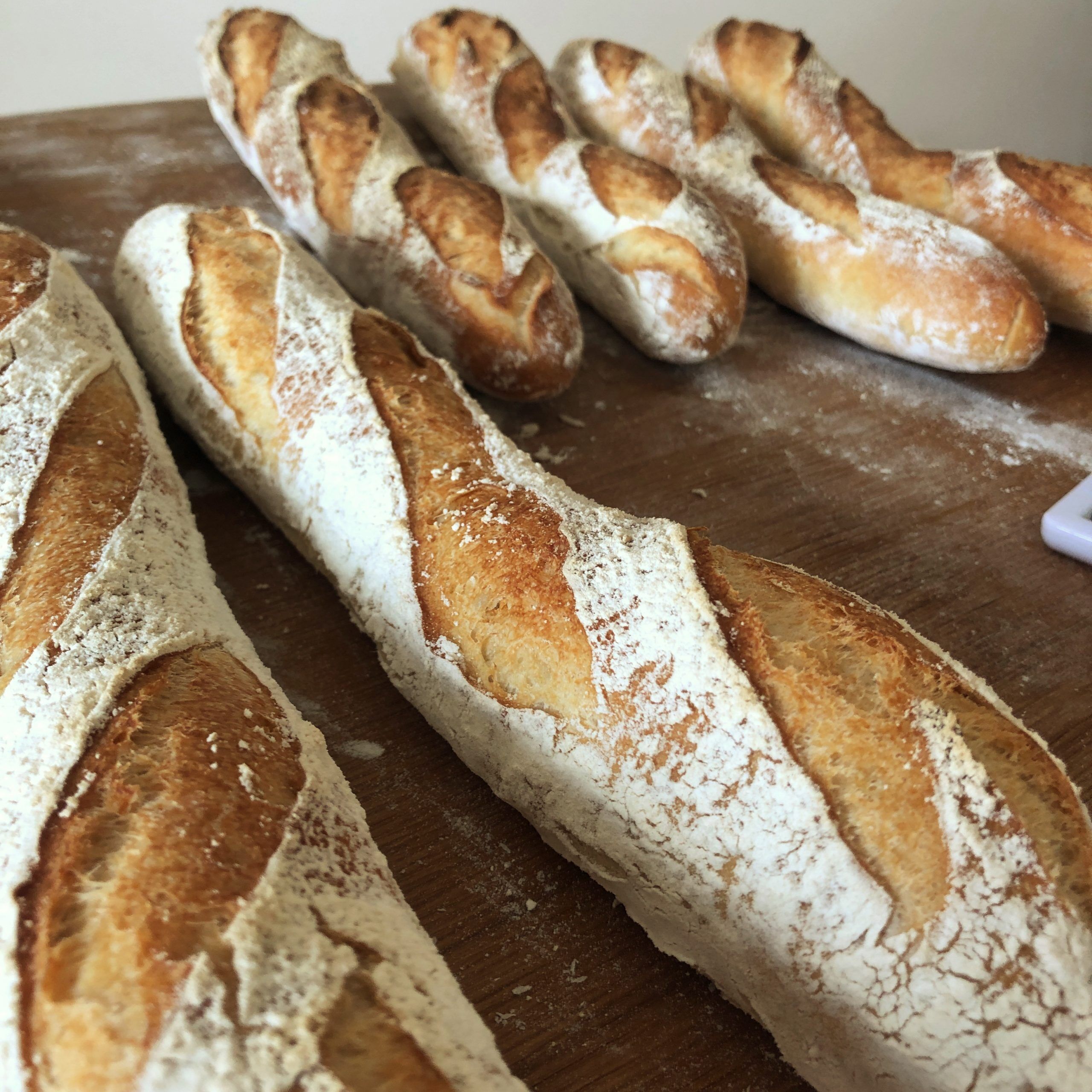 Authentic French Baguette Recipe with an Overnight Poolish