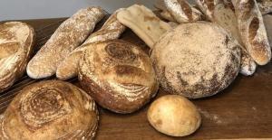 stages of bread making