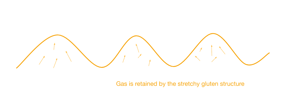 Extensible gluten structure