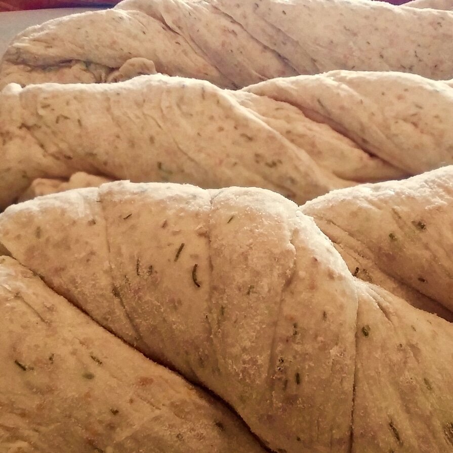 Proofing Bread – The Final Rise 1 Dough proofing