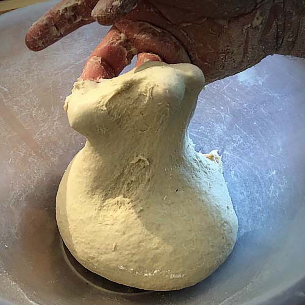 Bulk Fermentation (First Rise) Explained 1 Bulk fermentation explained