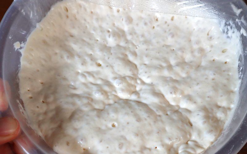 A preferment will have large bubbles and ripples on the surface when ripe