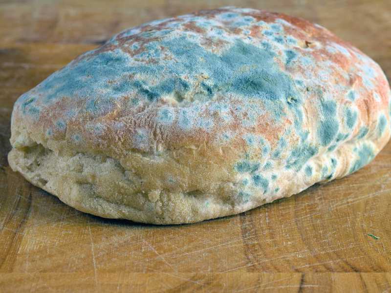 Does bread turn mouldy in the freezer