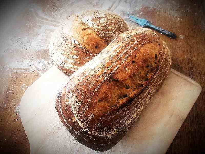 What are the sourdough health benefits?
