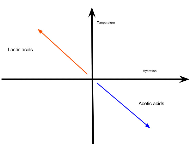 Impact of temperature and hydration in acid production