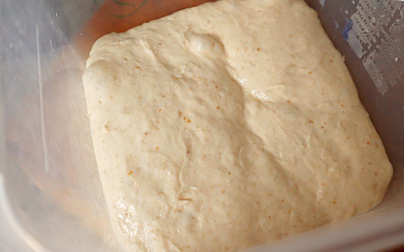 Sourdough at the end of bulk femrentation