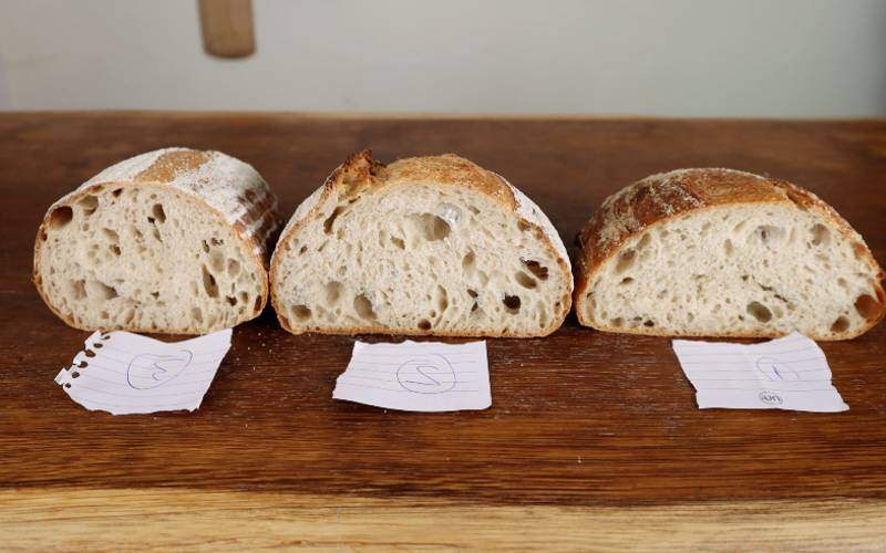 Sourdough comparison baked