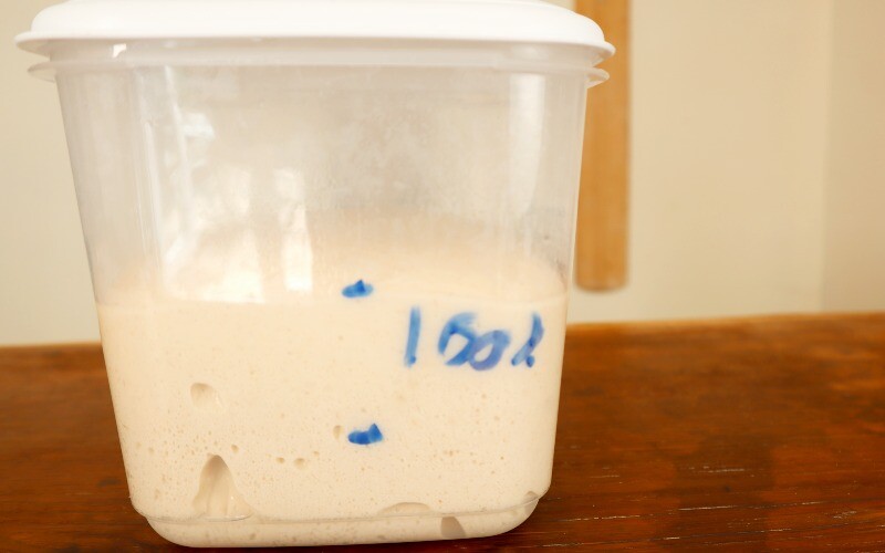 How high should dough rise during bulk fermentation?