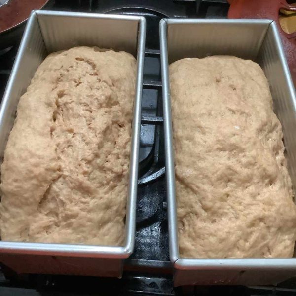 Baking With Fresh Milled Flour Troubleshooting Guide Busby's