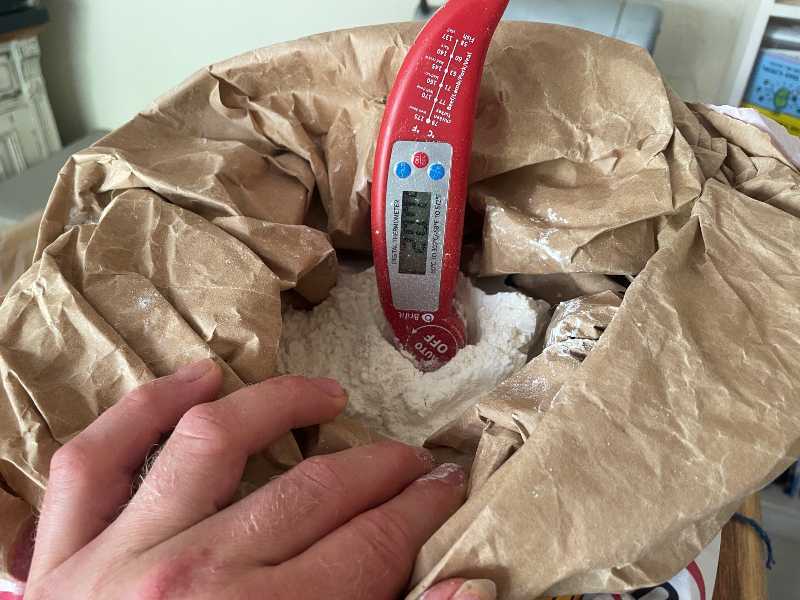 Take a temperature reading of the flour