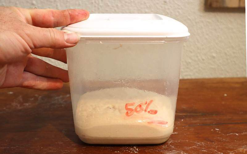 During bulk fermentation sourdough should increase by 50% of its original size.