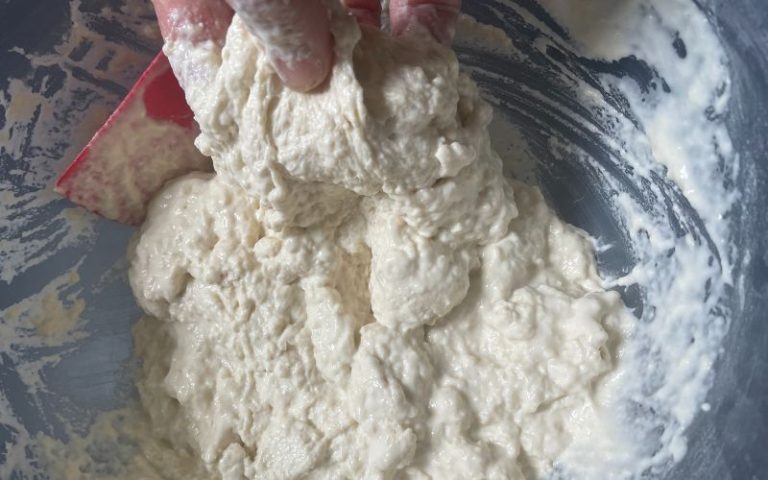 View of Does Kneading Dough Longer Make It Softer? - Busby's